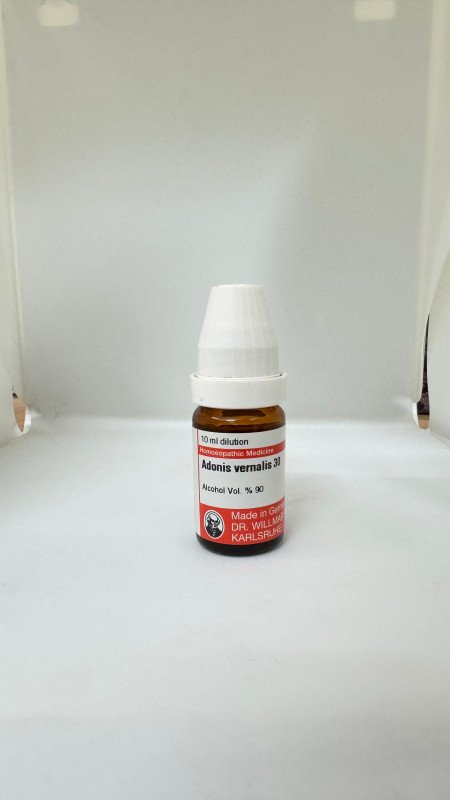 Adonis Ver – Mother Tincture | Homoeopathic Remedy for Heart Weakness, Dropsy & Irregular Pulse