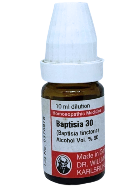 Baptisia Tinctoria – Mother Tincture | Homoeopathic Remedy for Typhoid, Weak Immunity & Septic Conditions