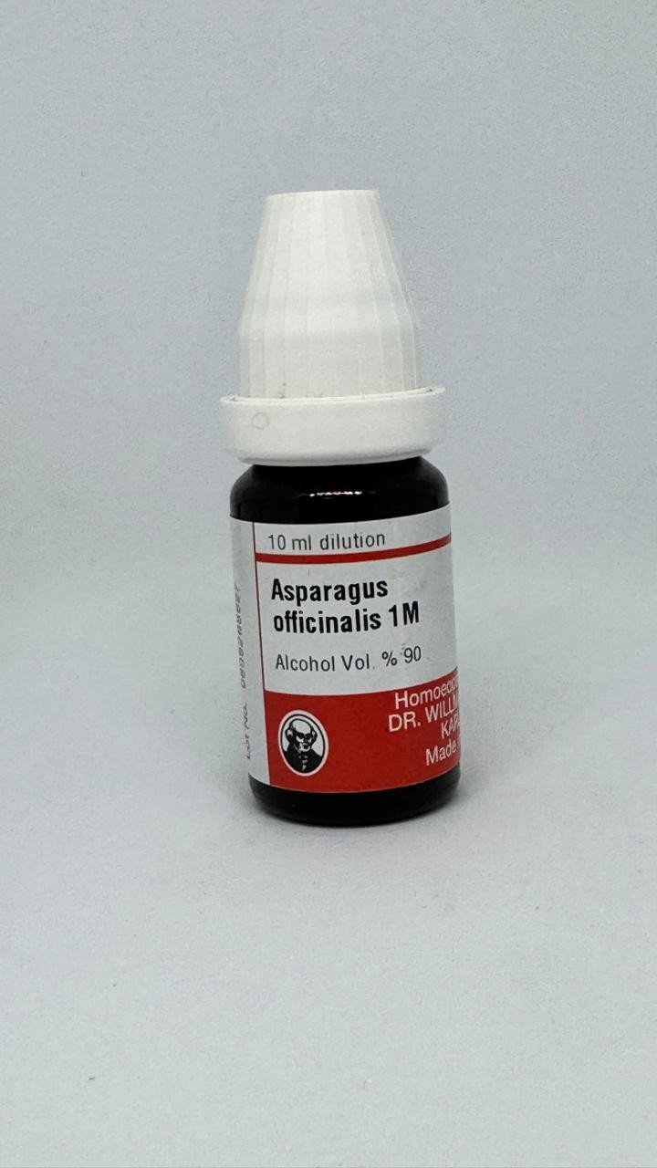 Asparagus – Mother Tincture | Homoeopathic Remedy for Kidney Disorders, Urinary Problems & Heart Weakness