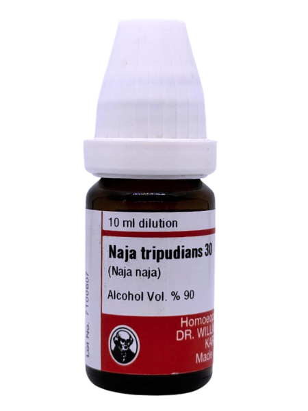 Naja tripudians  -  Dr. Willmar Schwabe Germany