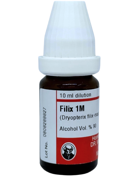 Filix Mas – Mother Tincture | Homoeopathic Remedy for Worm Infestation, Digestive Distress & Abdominal Pain