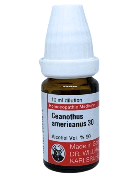 Ceanothus Americanus – Dr. Willmar Schwabe Germany (Original Homeopathic Medicine)