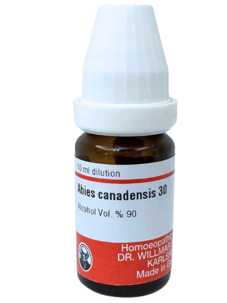 Abies Can – Mother Tincture | Homoeopathic Remedy for Low Appetite & Indigestion