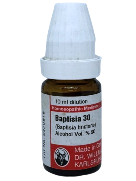 Baptisia Tinctoria – Dr. Willmar Schwabe Germany (Original Homeopathic Medicine)